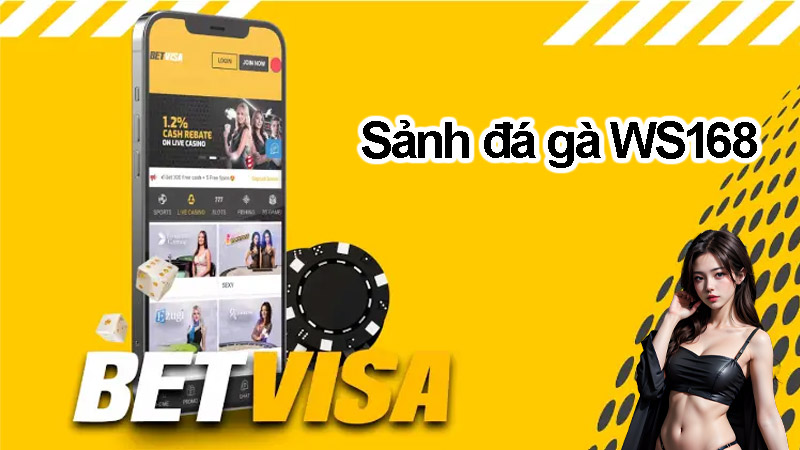 Giới thiệu chung về sảnh đá gà WS168 trên Betvisa