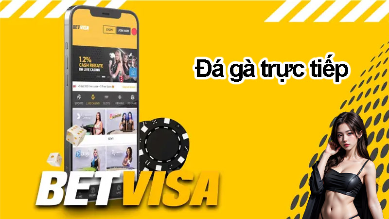 Giới thiệu về đá gà trực tiếp tại betvisa